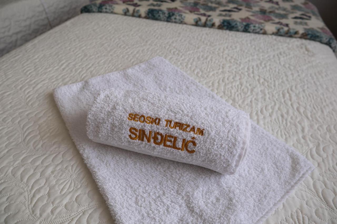 伊万尼察 Domacinstvo Sindelic酒店 外观 照片